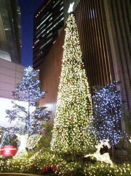 111221_Chiba_SOGO_ChristmasTree (2).JPG